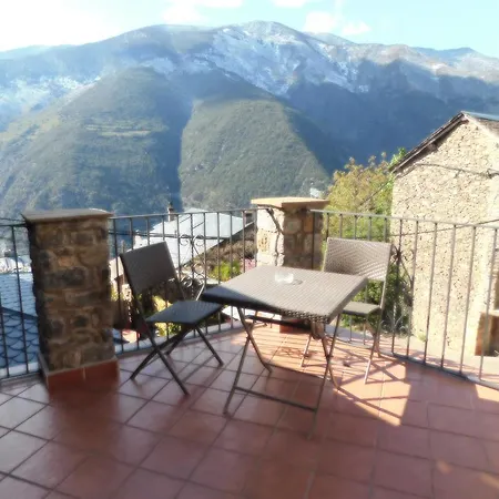 Macia -